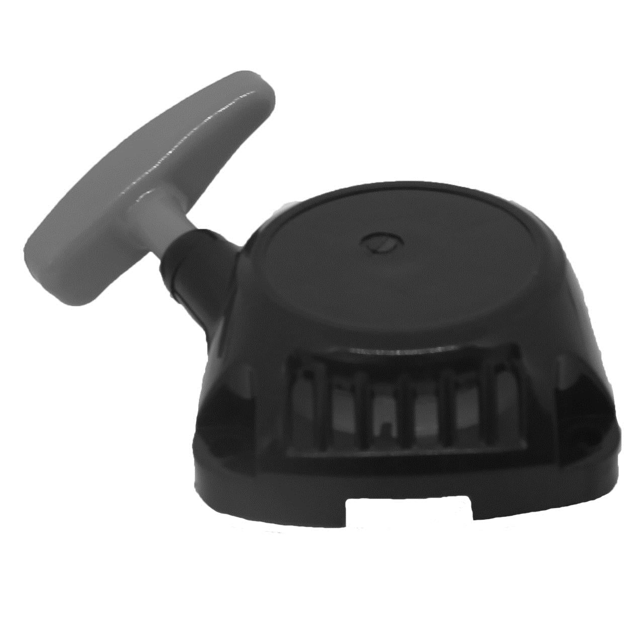 FUXTEC - Lanceur souffleur professionnel FX-LBS126P