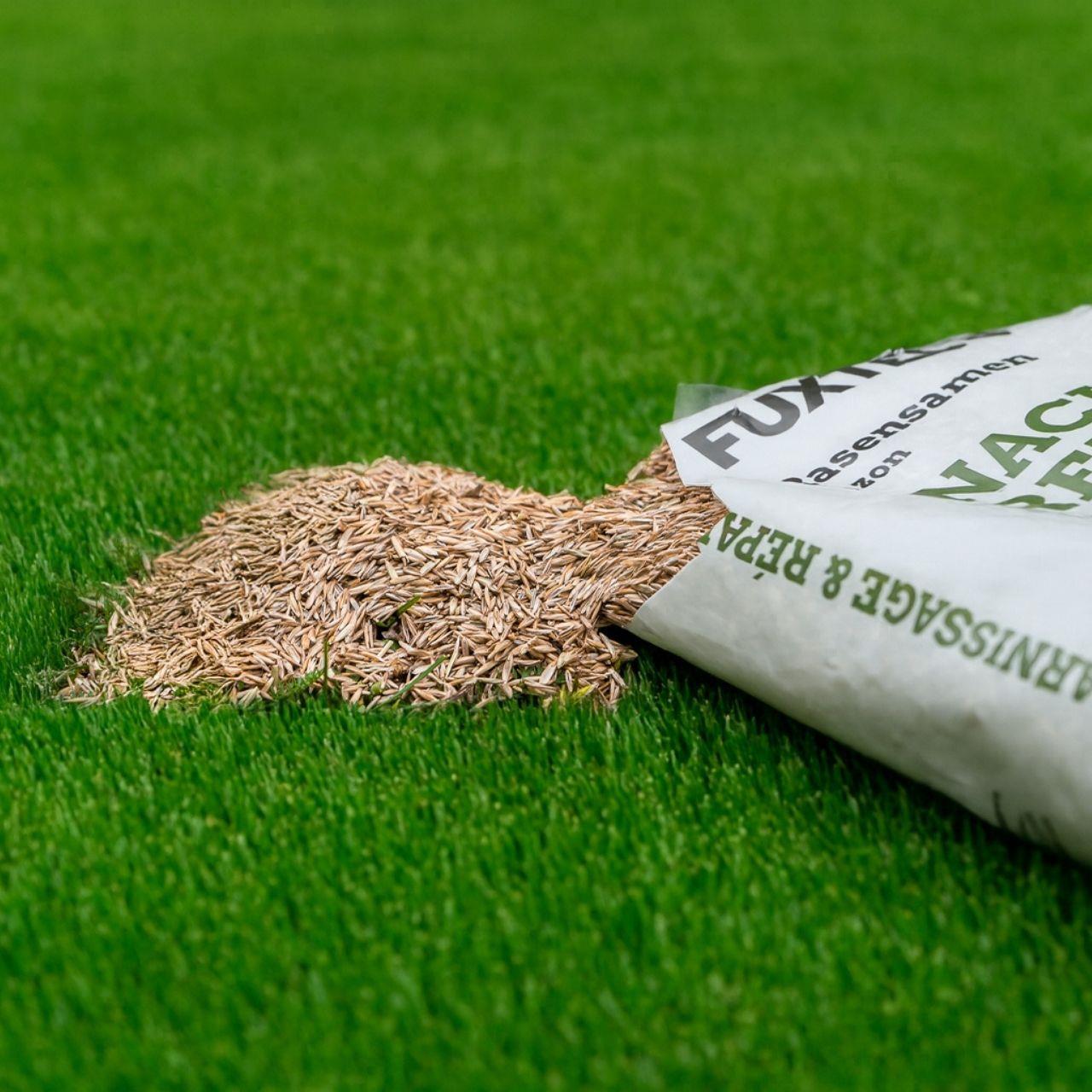 Graines de gazon FUXTEC FX-RSNR1 regarnissage et réparation 1kg/30m²