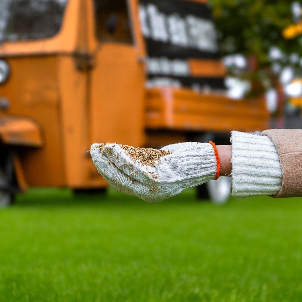 Graines de gazon FUXTEC FX-RSNR1 regarnissage et réparation 1kg/30m²