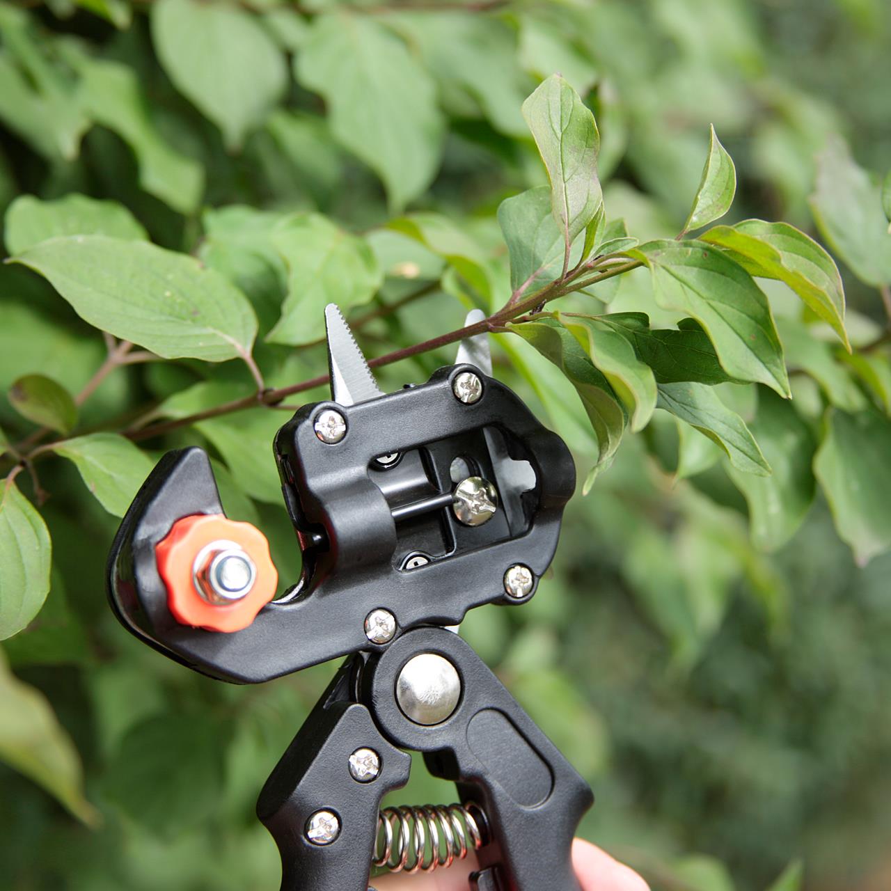 Ciseaux de greffage FUXTEC FX-VSP30