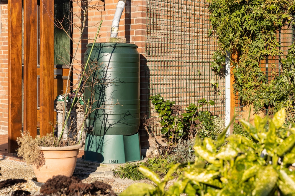 Regenwassernutzung im Garten: Effizient Wasser sammeln und nutzen