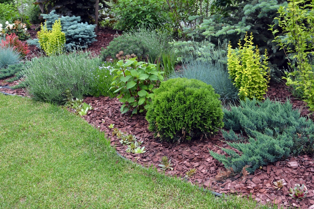 Garten pflegeleicht gestalten: Tipps und Tricks für wenig Arbeit