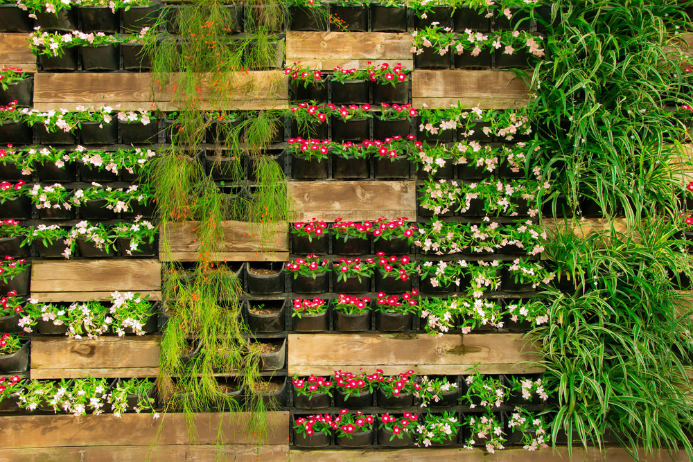 Vertikalen Garten anlegen: Die besten Tipps für Garten, Balkon und Terrasse