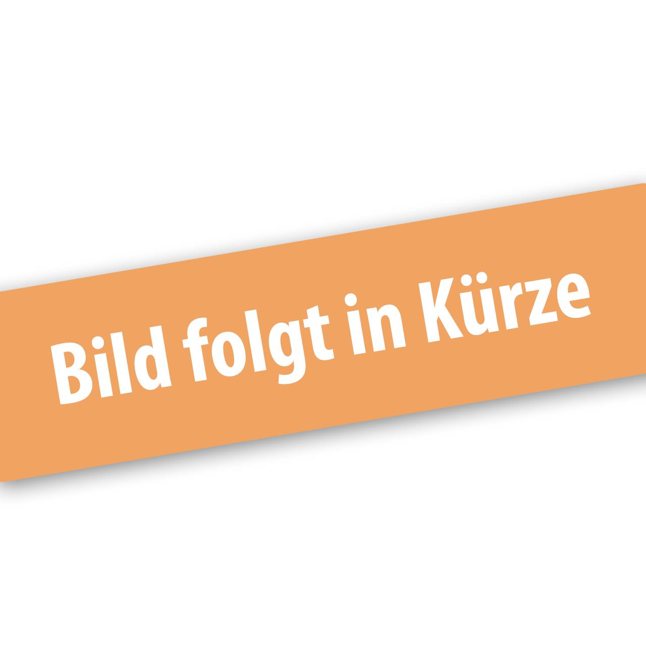FUXTEC Tankdeckel für LBP165T