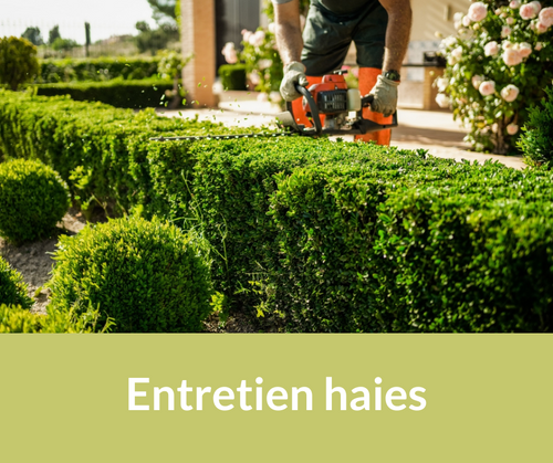 Entretien arbres et haies