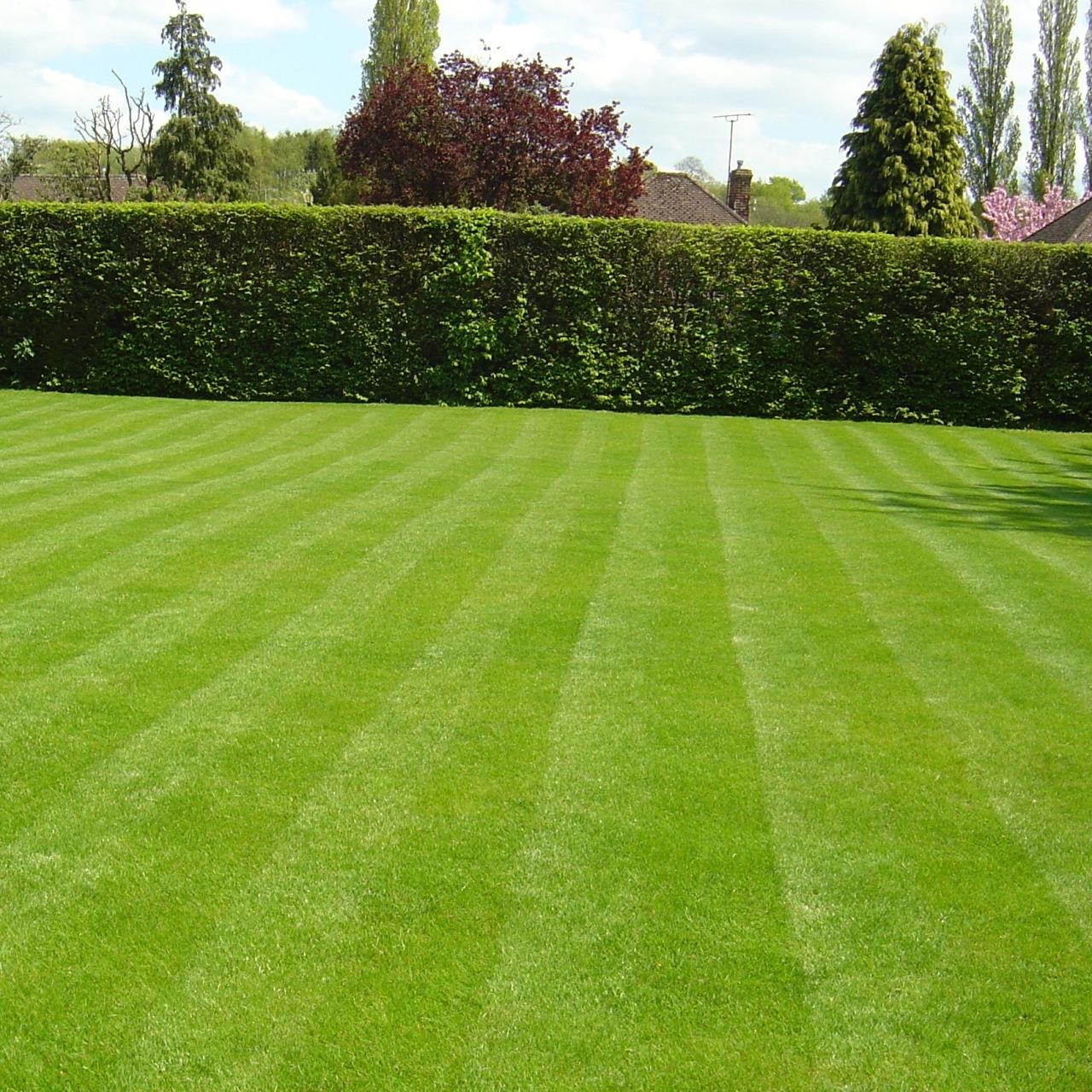 FUXTEC - Engrais gazon Sport & Jeu 10 kg